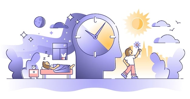 An illustration showing the human circadian rhythm, highlighting the timing of hormone release (melatonin, cortisol), body temperature fluctuations, and sleep-wake cycles.
