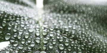 The Importance of Hydration: How Much Water Do You Really Need? - Cover Image
