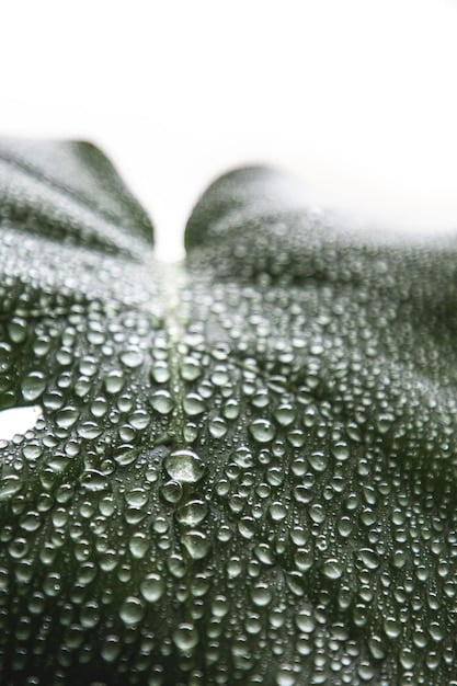 The Importance of Hydration: How Much Water Do You Really Need?
