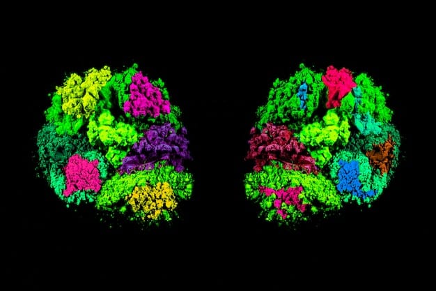 A colorful illustration of the brain with highlighted areas representing the amygdala and prefrontal cortex, visually explaining the neurological impact of anxiety.