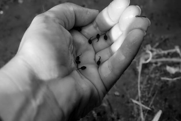 A close-up shot of hands planting seeds in soil, symbolizing growth, hope, and taking positive action.