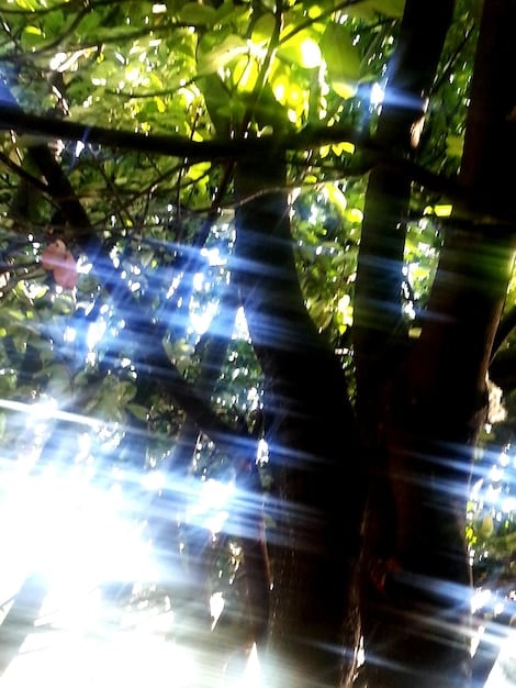 Nature’s Therapy: Boost Mental Health with 2 Hours Outdoors Weekly