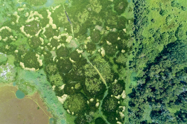 A high-resolution satellite image showing deforestation in the Amazon rainforest, highlighting the scale of environmental degradation and the role of satellite monitoring in tracking such changes.