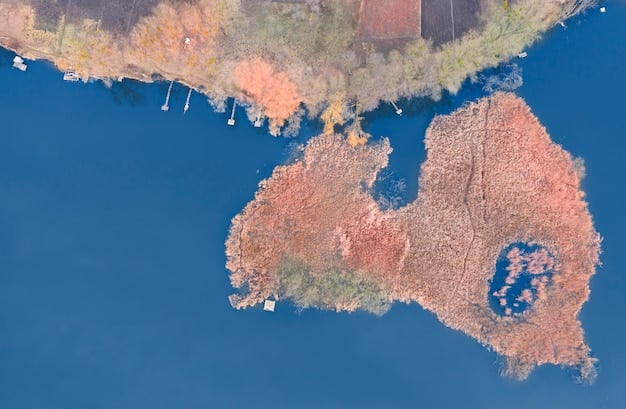 A map of the United States showing areas vulnerable to sea level rise, overlaid with satellite data indicating the current rate of sea level change in different regions.